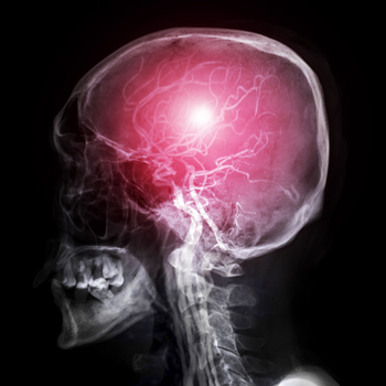 SAM-E Ne İşe Yarar ?