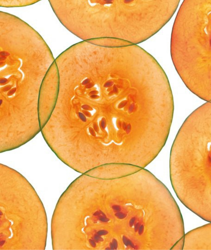 Saçın Yaşam Döngüsü